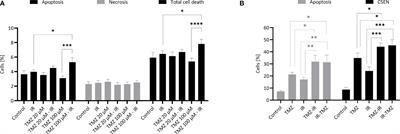 Temozolomide – Just a Radiosensitizer?